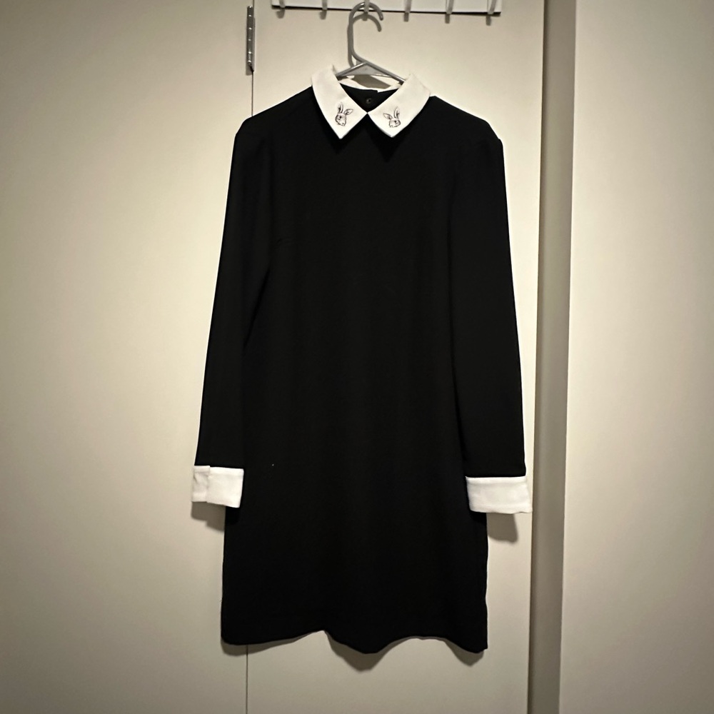 Women's Black with Bunny Collar Dress
